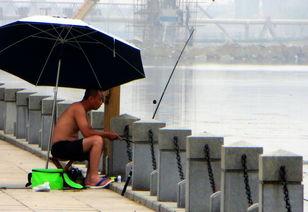 裸钓在线观看,揭秘自然垂钓的极致体验